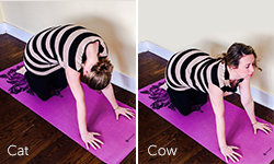 Cat Cow yoga poses